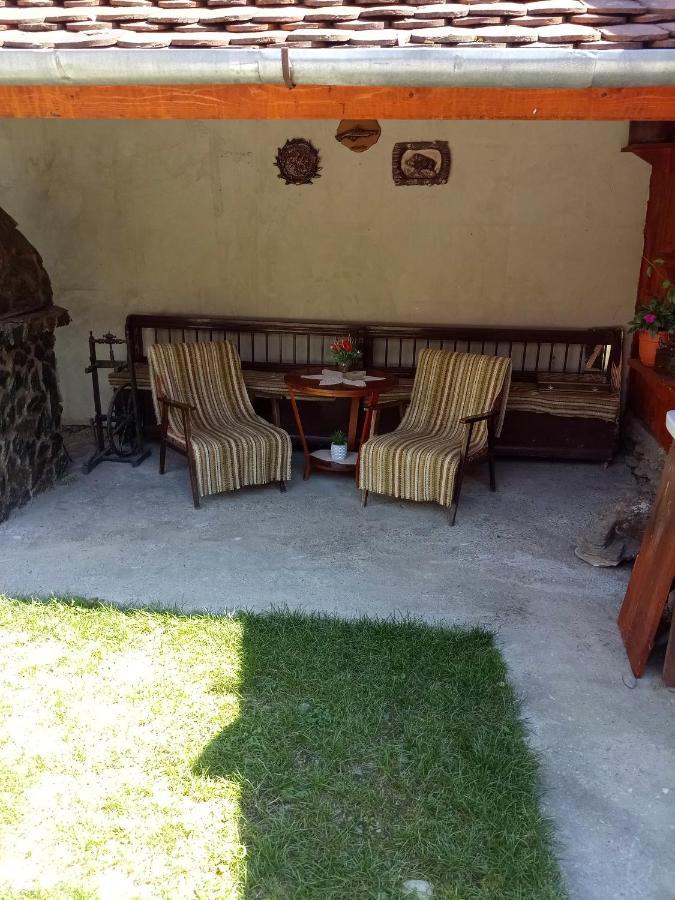 Hotel Casa Mari à Cîrţişoara Extérieur photo