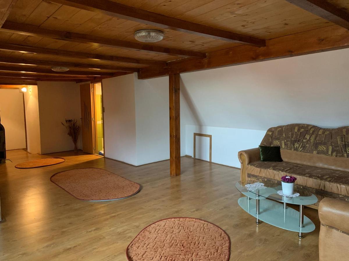 Hotel Casa Mari à Cîrţişoara Extérieur photo
