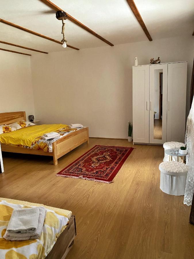 Hotel Casa Mari à Cîrţişoara Extérieur photo