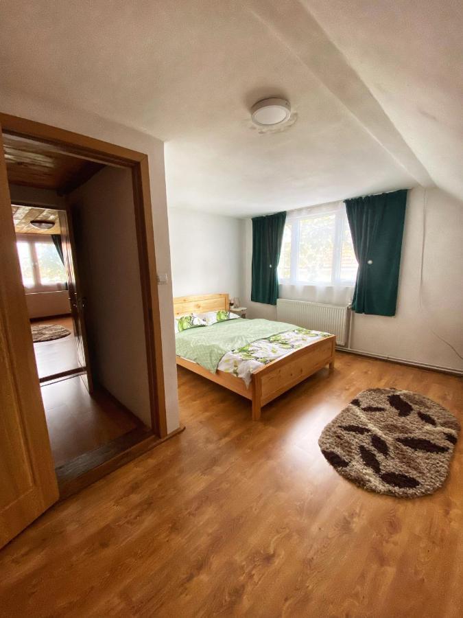 Hotel Casa Mari à Cîrţişoara Extérieur photo