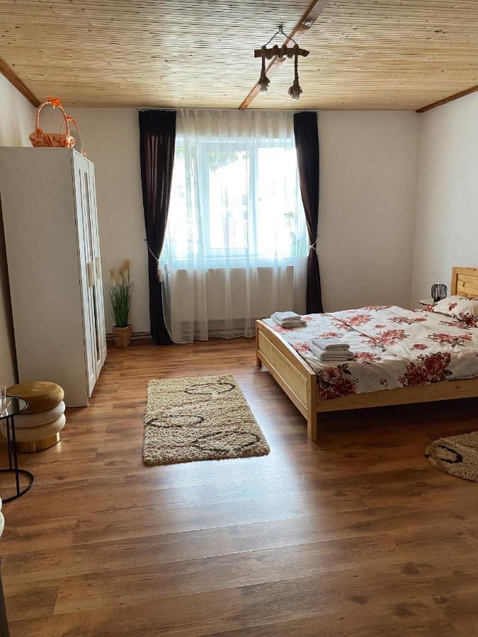 Hotel Casa Mari à Cîrţişoara Extérieur photo
