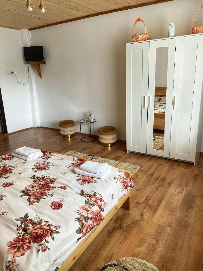 Hotel Casa Mari à Cîrţişoara Extérieur photo